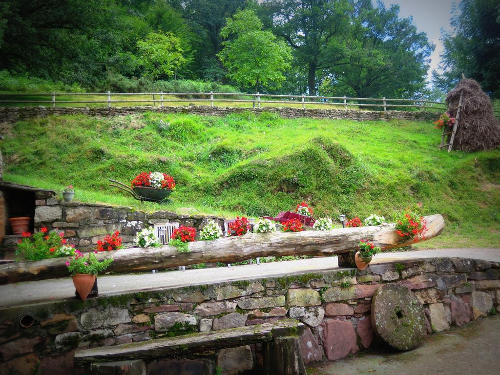 Casa Rural Urruska เอลิซอนโด ภายนอก รูปภาพ