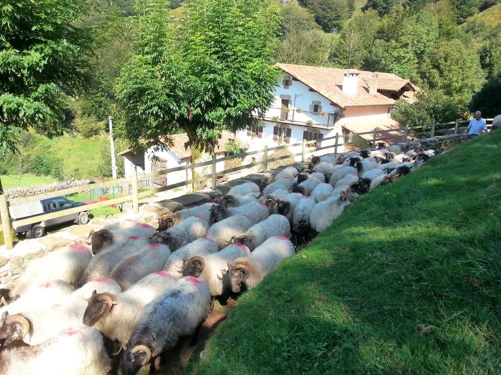 Casa Rural Urruska เอลิซอนโด ภายนอก รูปภาพ