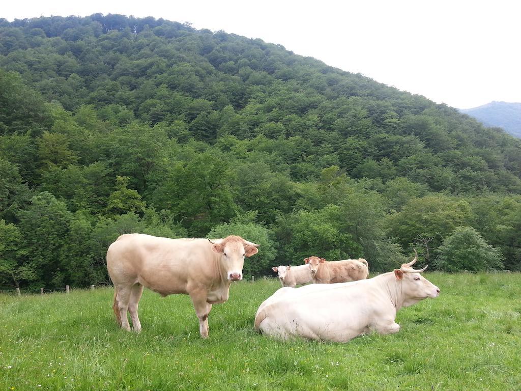 Casa Rural Urruska เอลิซอนโด ภายนอก รูปภาพ
