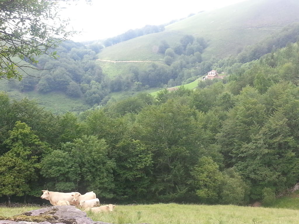 Casa Rural Urruska เอลิซอนโด ภายนอก รูปภาพ