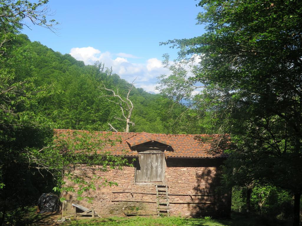 Casa Rural Urruska เอลิซอนโด ภายนอก รูปภาพ